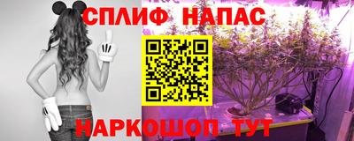 твердый Камышлов
