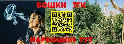 твердый Камышлов
