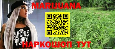 твердый Камышлов
