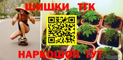 твердый Камышлов