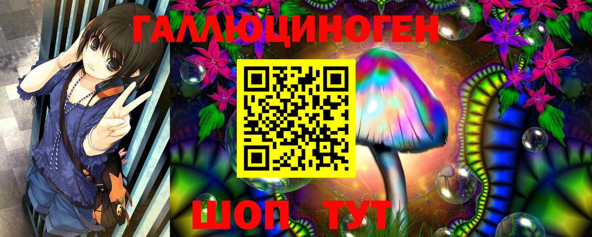 Гусев  Галлюциногенные грибы Magic Shrooms  Псилоцибиновые грибы мицелий  Вход с VPN 